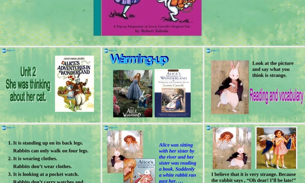 八年级英语上册 Module 7 Unit 2 She was thinking about her cat课件1 .ppt