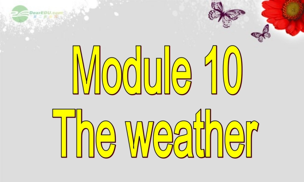 八年级英语上册 Module 10 The weather Unit 3 Language in use课件 .ppt