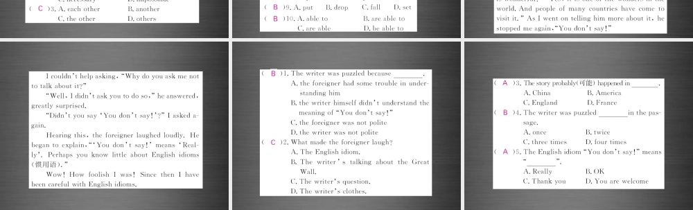 【课堂内外】九年级英语下册 Module 7 Unit 2 We all own English（第2课时）课件 .ppt