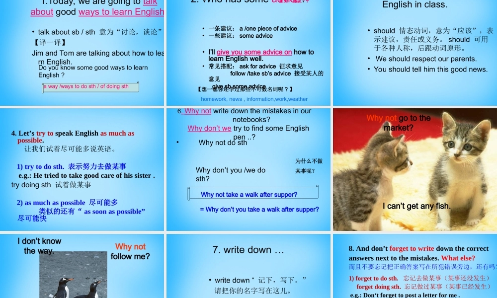 八年级英语上册 Module 1 Unit 1 Let’s try to speak English as much as possible课件 .ppt