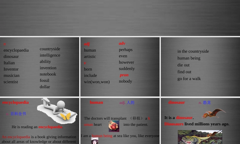 八年级英语上册 Unit 1 Encyclopaedias words课件 .ppt