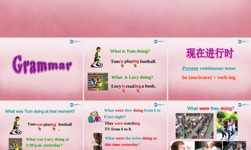 八年级英语上册 Unit 8 Natural disasters Grammar课件.ppt