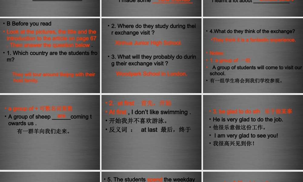 八年级英语上册 Unit 5 Educational exchanges Reading课件 .ppt