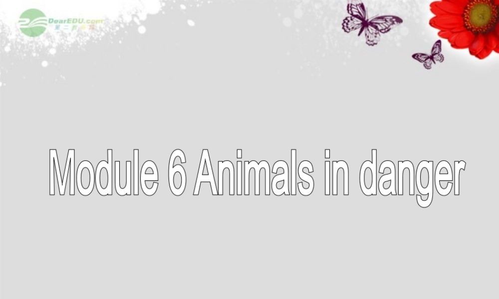 八年级英语上册 Module 6 Animals in danger Unit 3 Language in use课件 .ppt