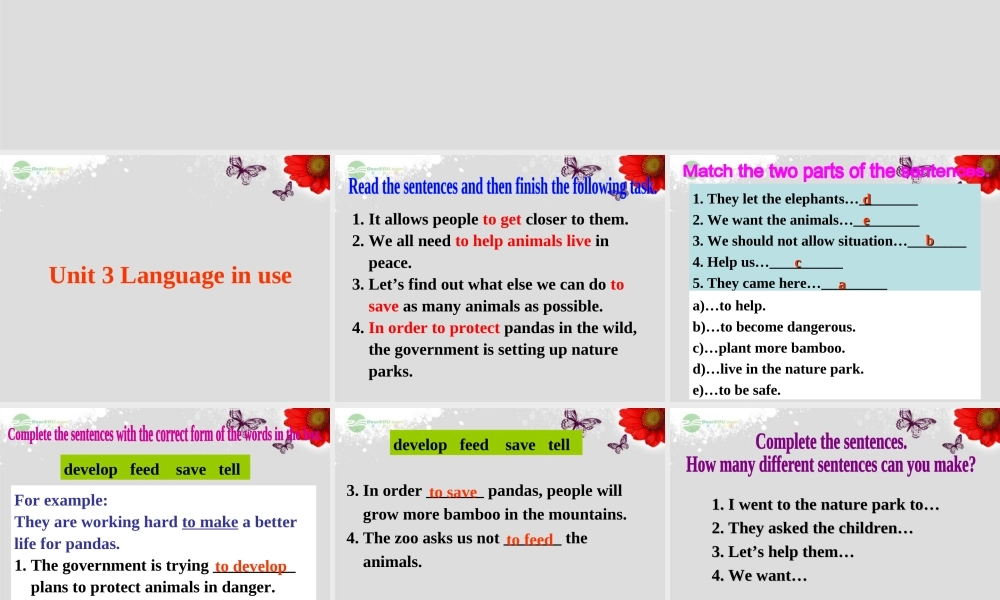 八年级英语上册 Module 6 Animals in danger Unit 3 Language in use课件 .ppt