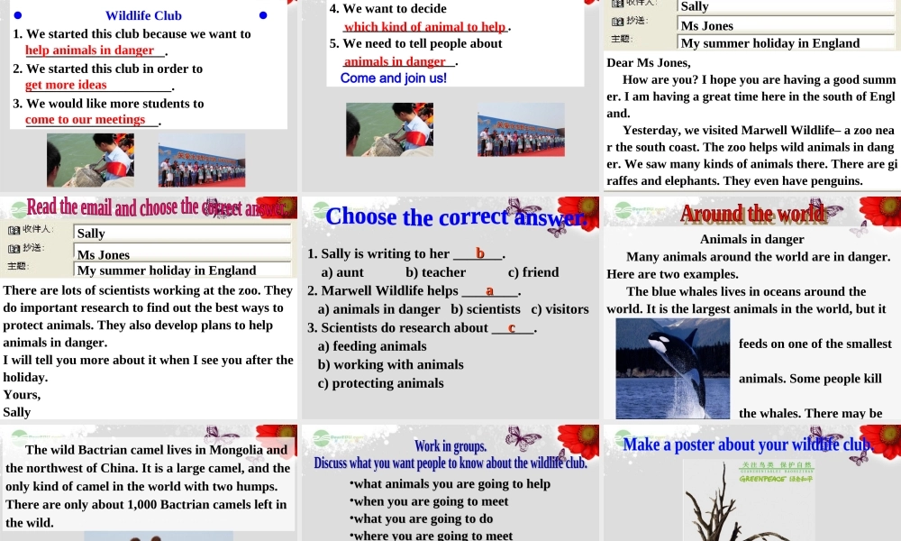 八年级英语上册 Module 6 Animals in danger Unit 3 Language in use课件 .ppt
