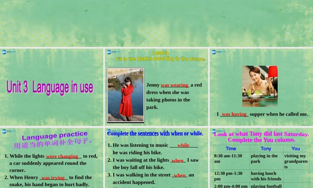 八年级英语上册 Module 8 Unit 3 Language in use课件1 .ppt