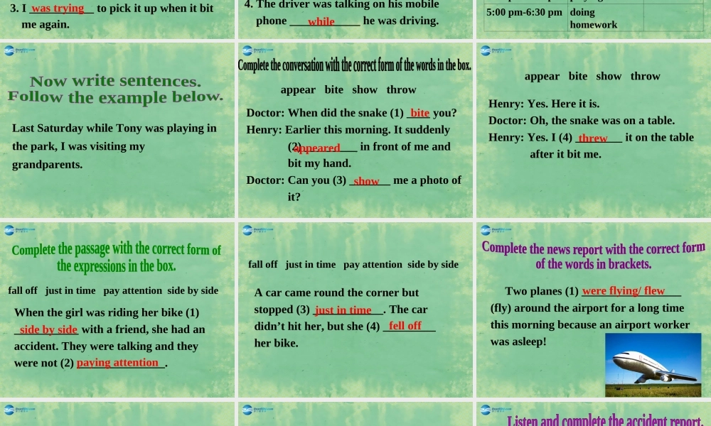 八年级英语上册 Module 8 Unit 3 Language in use课件1 .ppt