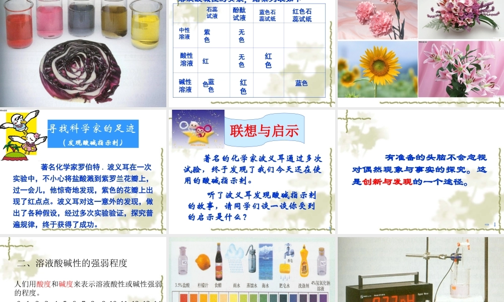 沪教初中化学九下《7第1节 溶液的酸碱性》PPT课件 (6).ppt