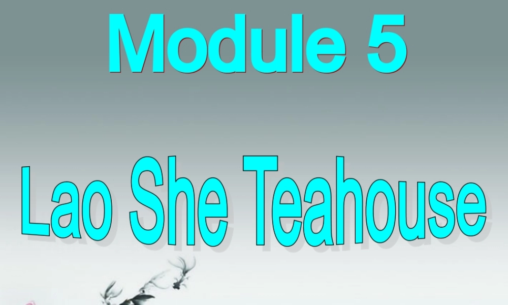 八年级英语上册 Module 5 Lao She Teahouse Unit 1 I wanted to see the Beijing Opera课件2 .ppt