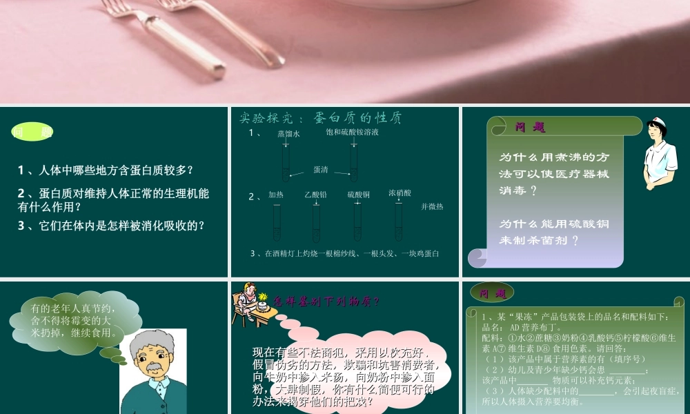 沪教初中化学九下《8第3节 蛋白质 维生素》PPT课件 (3).ppt