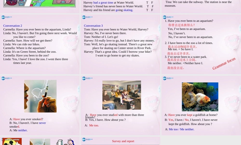 八年级英语下册 Unit 1 Have you ever been to an amusement park？Period 2课件 .ppt