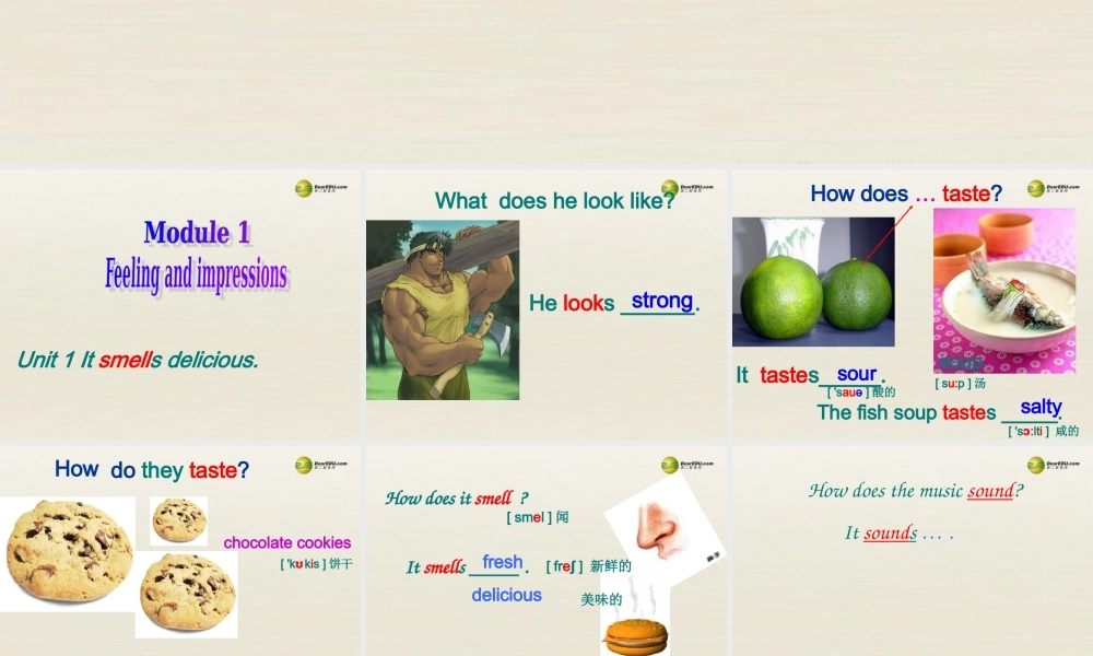 八年级英语下册 Module 1 Feelings and impressions Unit 1 It smells delicious课件5 .ppt