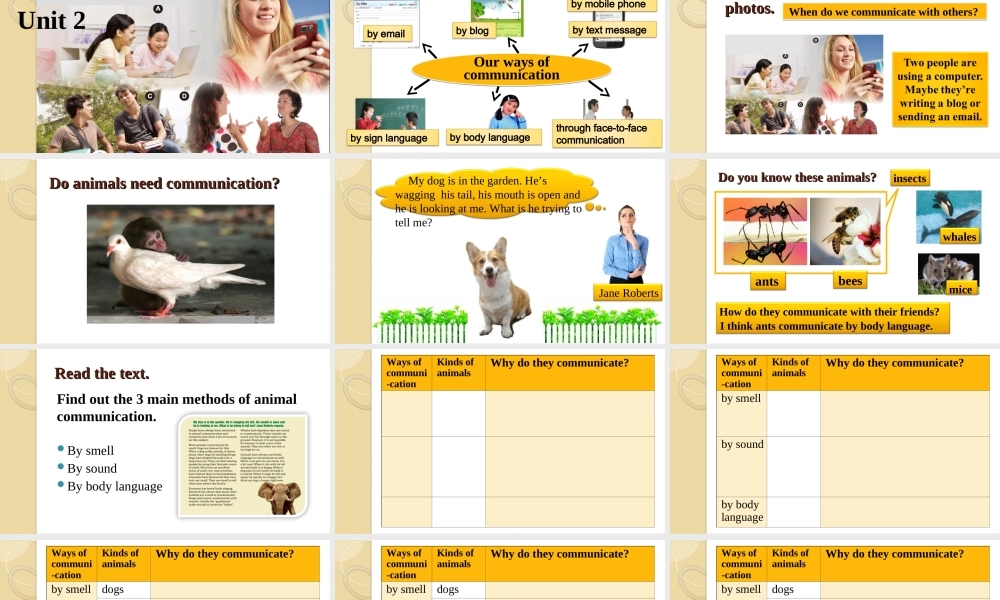 北师大版八年级英语下册课件：Unit 2 Communication Lesson 4 Animal Talk 第1课时.ppt