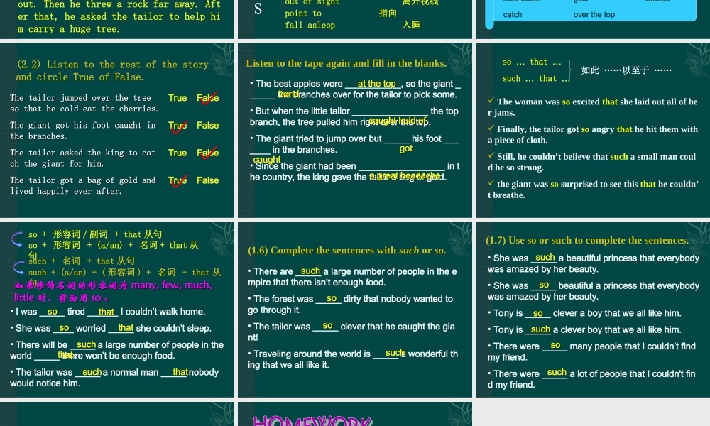 北师大初中英语九下《Unit 7 Storytelling》PPT课件Lesson 25 (2).ppt