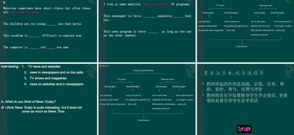 北师大初中英语九上《Unit 3 The Media》PPT课件 (14).ppt