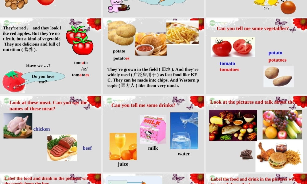 广东省佛山市第十四中学七年级英语上册 Module 4 Healthy food Unit 1 We’ve got lots of apples课件 （新版）外研版.ppt