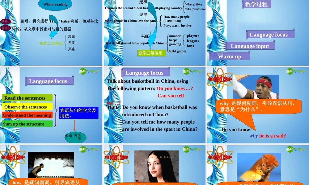 北师大初中英语九下《Unit 6 The Spirit of Sports》PPT课件 (3).ppt