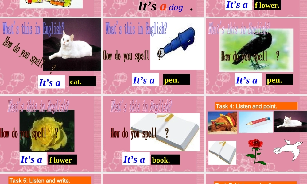 广东省佛山市中大附中三水实验中学七年级英语上册 Starter Module 3 My English book Unit 1 What’s this in English课件2 （新版）外研版.ppt