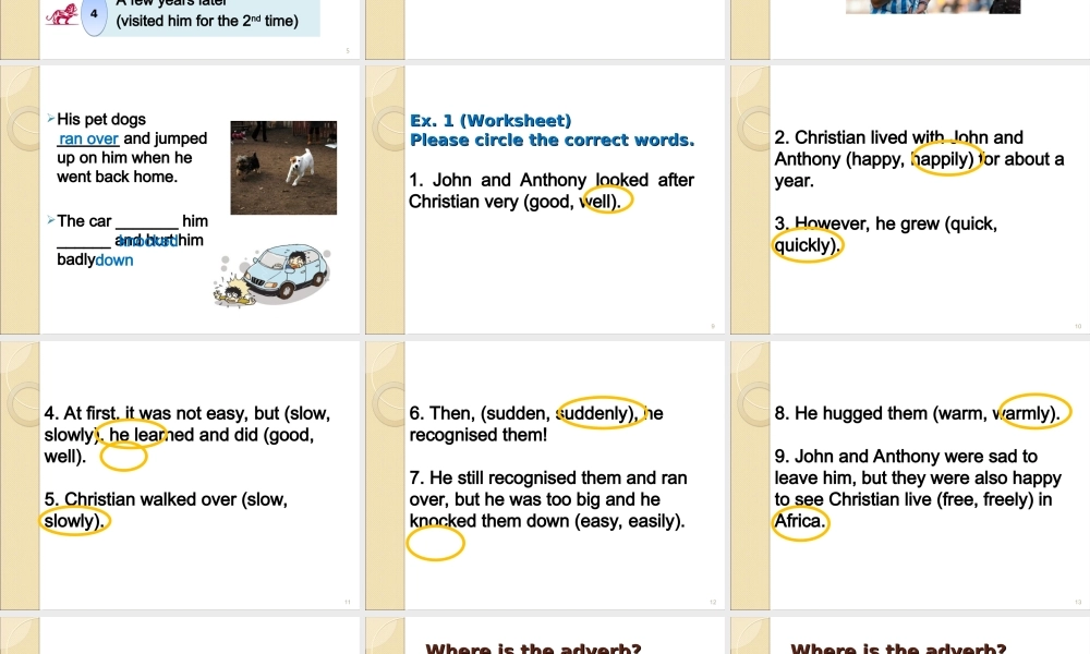 北师大初中英语七下《Unit 6 The Animal 》PPT课件Lesson 18第1课时 (2).ppt