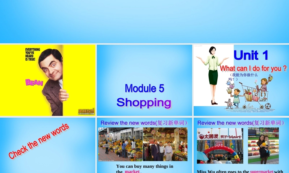 广东省惠东县教育教学研究室七年级英语下册 Module 5 Shopping课件 .ppt