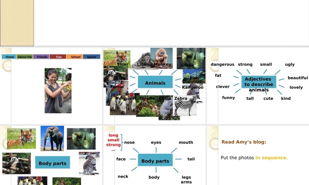 北师大初中英语七下《Unit 6 The Animal 》PPT课件 (3).ppt