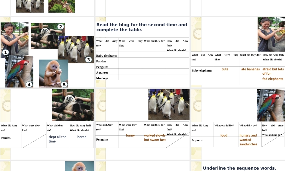 北师大初中英语七下《Unit 6 The Animal 》PPT课件 (3).ppt