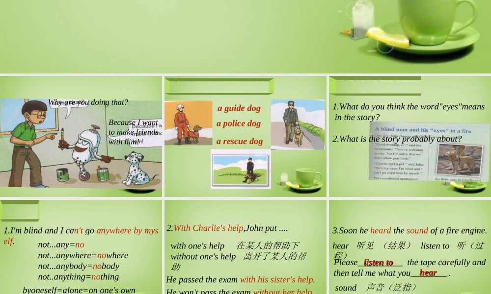 广东省深圳市文汇中学七年级英语下册 Unit 3 Our animal friends Period 2 reading课件 .ppt