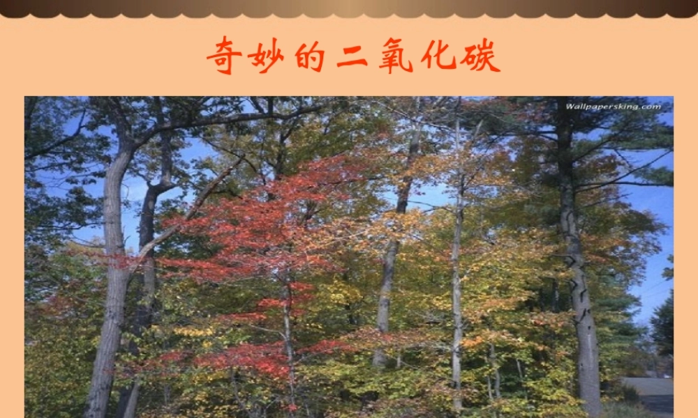 沪教初中化学九上《2第2节 奇妙的二氧化碳》PPT课件 (21).ppt