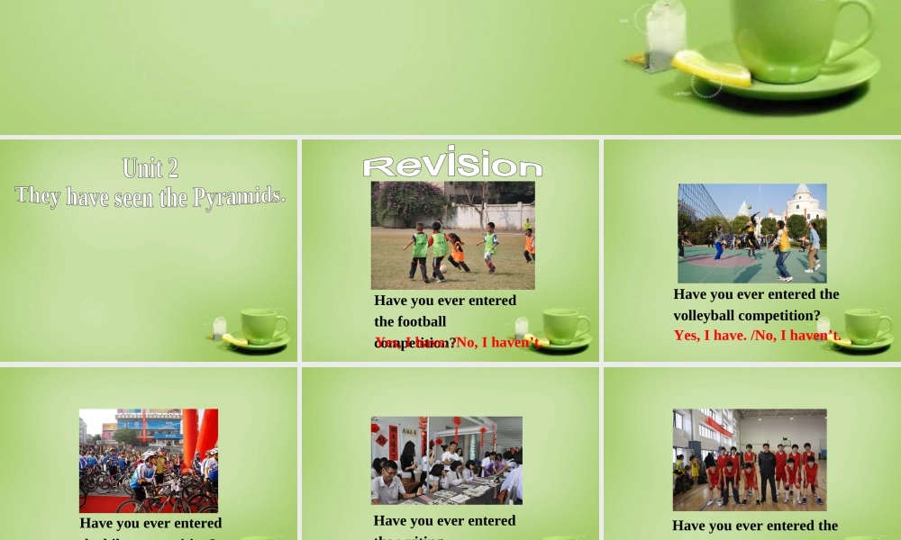 广东省惠东县教育教学研究室八年级英语下册 Module 2 Unit 2 They have seen the Pyramids课件 .ppt