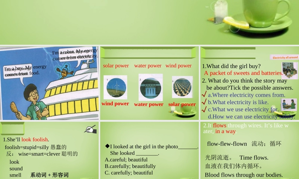 广东省深圳市文汇中学七年级英语下册 Unit 6 Electricity Period 2 reading课件 .ppt