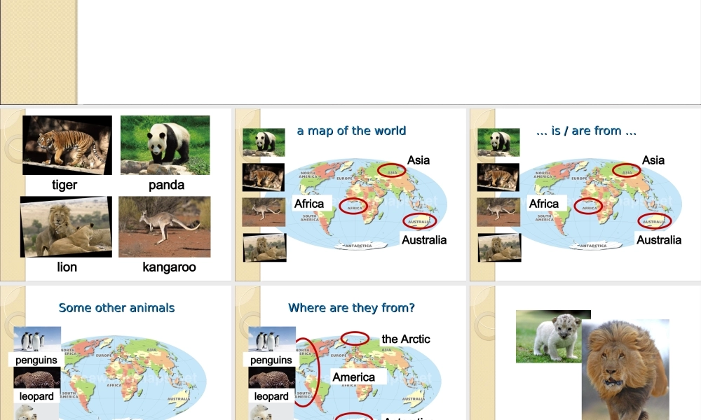 北师大初中英语七下《Unit 6 The Animal 》PPT课件Lesson 18第1课时 (1).ppt