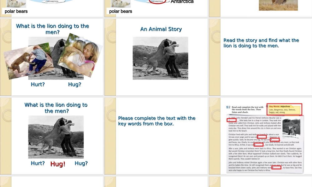 北师大初中英语七下《Unit 6 The Animal 》PPT课件Lesson 18第1课时 (1).ppt