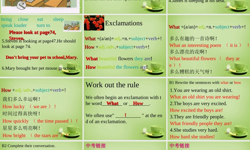 广东省深圳市文汇中学七年级英语下册 Unit 7 Poems Period 3 Grammar课件 .ppt