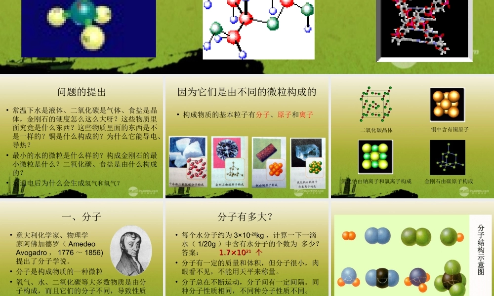沪教初中化学九上《3第1节 构成物质的基本微粒》PPT课件 (23).ppt