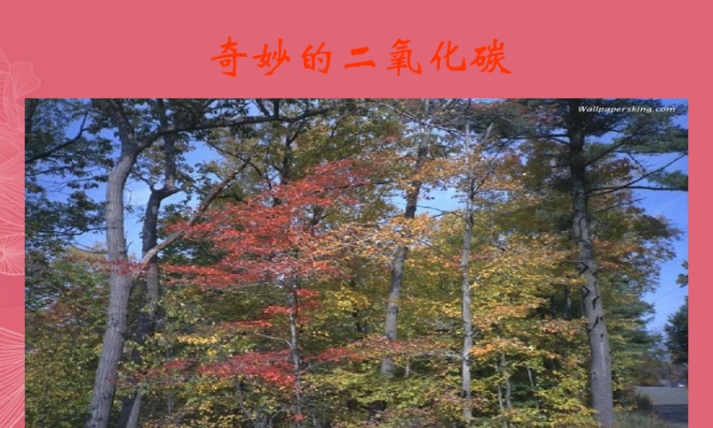 沪教初中化学九上《2第2节 奇妙的二氧化碳》PPT课件 (7).ppt