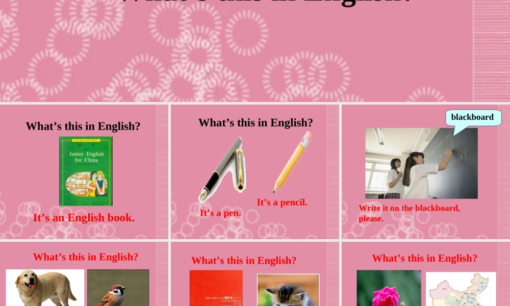 广东省佛山市中大附中三水实验中学七年级英语上册 Starter Module 3 My English Book Unit 1 What’s this in English课件1 （新版）外研版.ppt