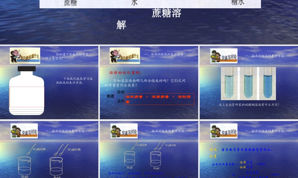 沪教初中化学九下《6第2节 溶液组成的表示》PPT课件 (12).ppt