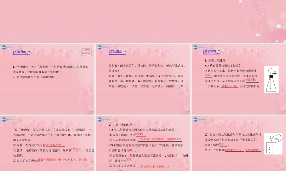 沪教初中化学九上《2基础实验2 二氧化碳的制取与性质》PPT课件.ppt