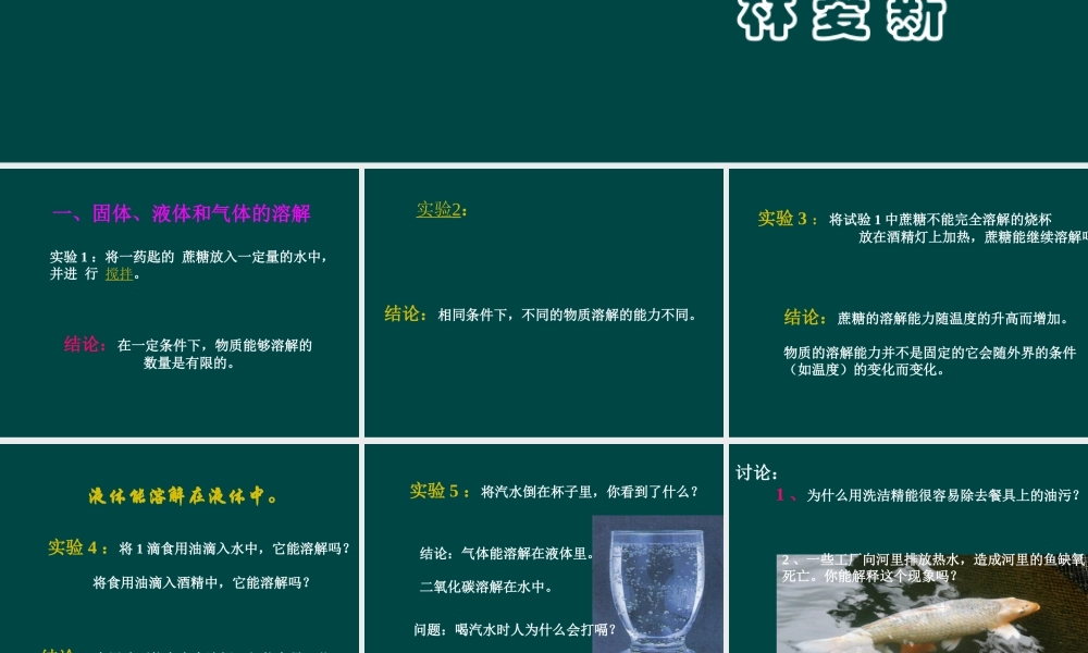 沪教初中化学九下《6第3节 物质的溶解性》PPT课件 (19).ppt