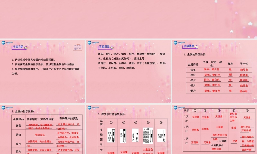 沪教初中化学九上《5基础实验4 常见金属的性质》PPT课件.ppt