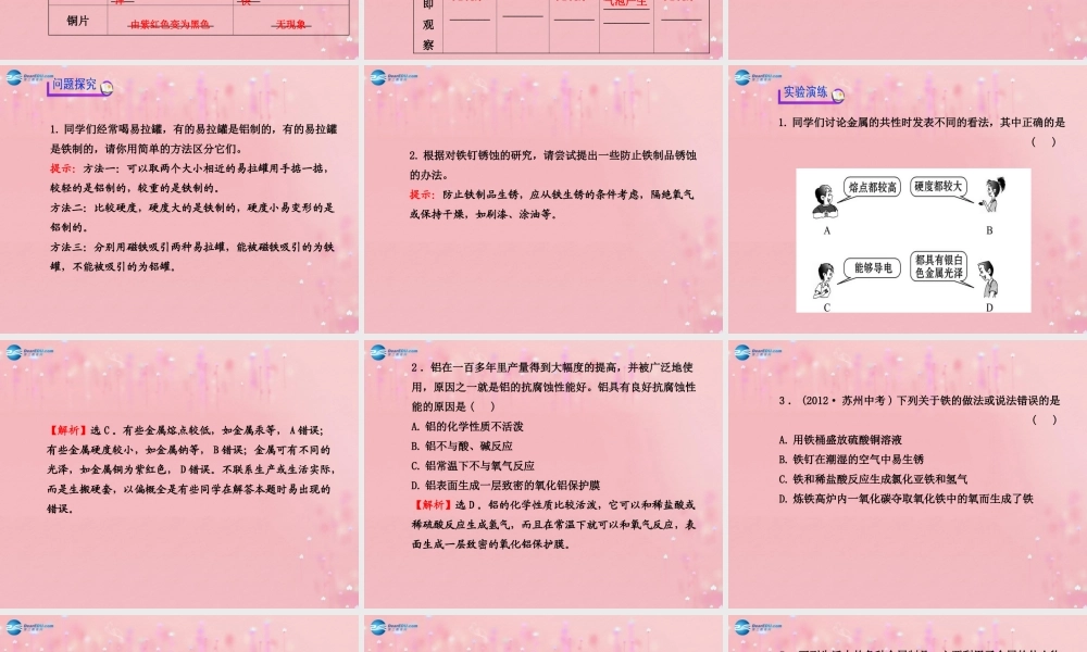 沪教初中化学九上《5基础实验4 常见金属的性质》PPT课件.ppt