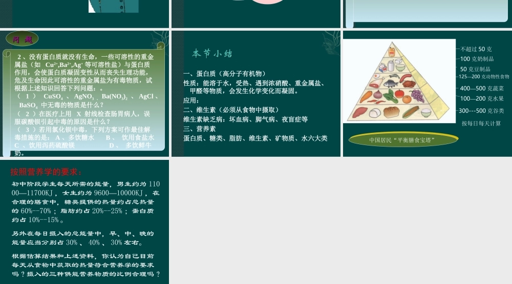 沪教初中化学九下《8第3节 蛋白质 维生素》PPT课件 (2).ppt