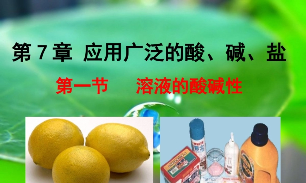 沪教初中化学九下《7第1节 溶液的酸碱性》PPT课件 (4).ppt