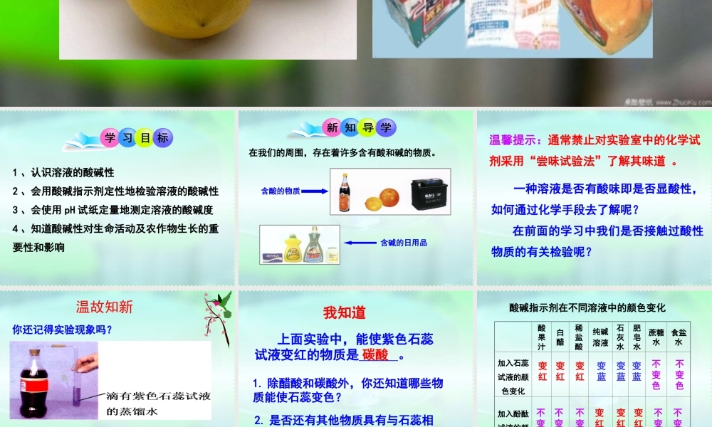 沪教初中化学九下《7第1节 溶液的酸碱性》PPT课件 (4).ppt