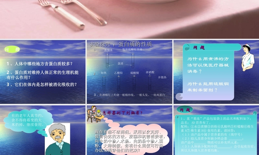 沪教初中化学九下《8第3节 蛋白质 维生素》PPT课件 (10).ppt