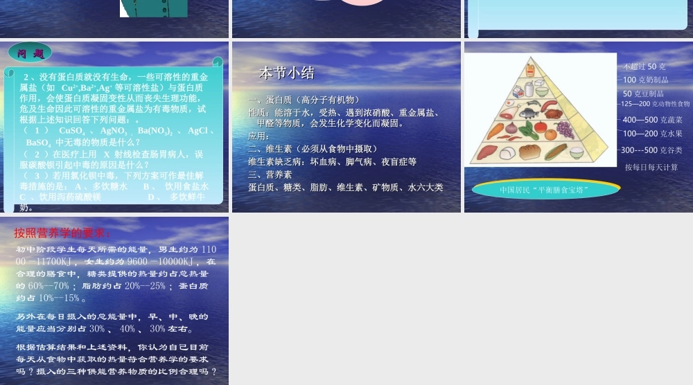 沪教初中化学九下《8第3节 蛋白质 维生素》PPT课件 (10).ppt