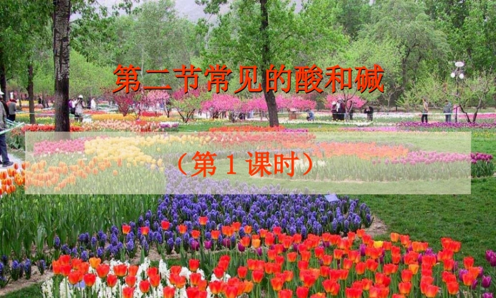 沪教初中化学九下《7第2节 常见的酸和碱》PPT课件 (5).ppt