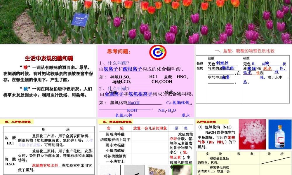 沪教初中化学九下《7第2节 常见的酸和碱》PPT课件 (5).ppt