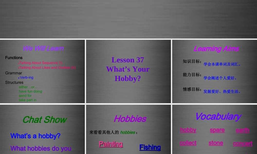 冀教初中英语八上《Lesson 37 What’s Your Hobby 》PPT课件 (2).ppt